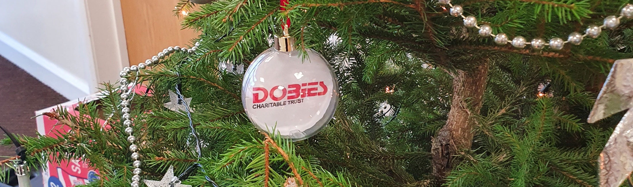 Dobies Cumbria Charitable Trust – Supporting West Cumbria Since 1997